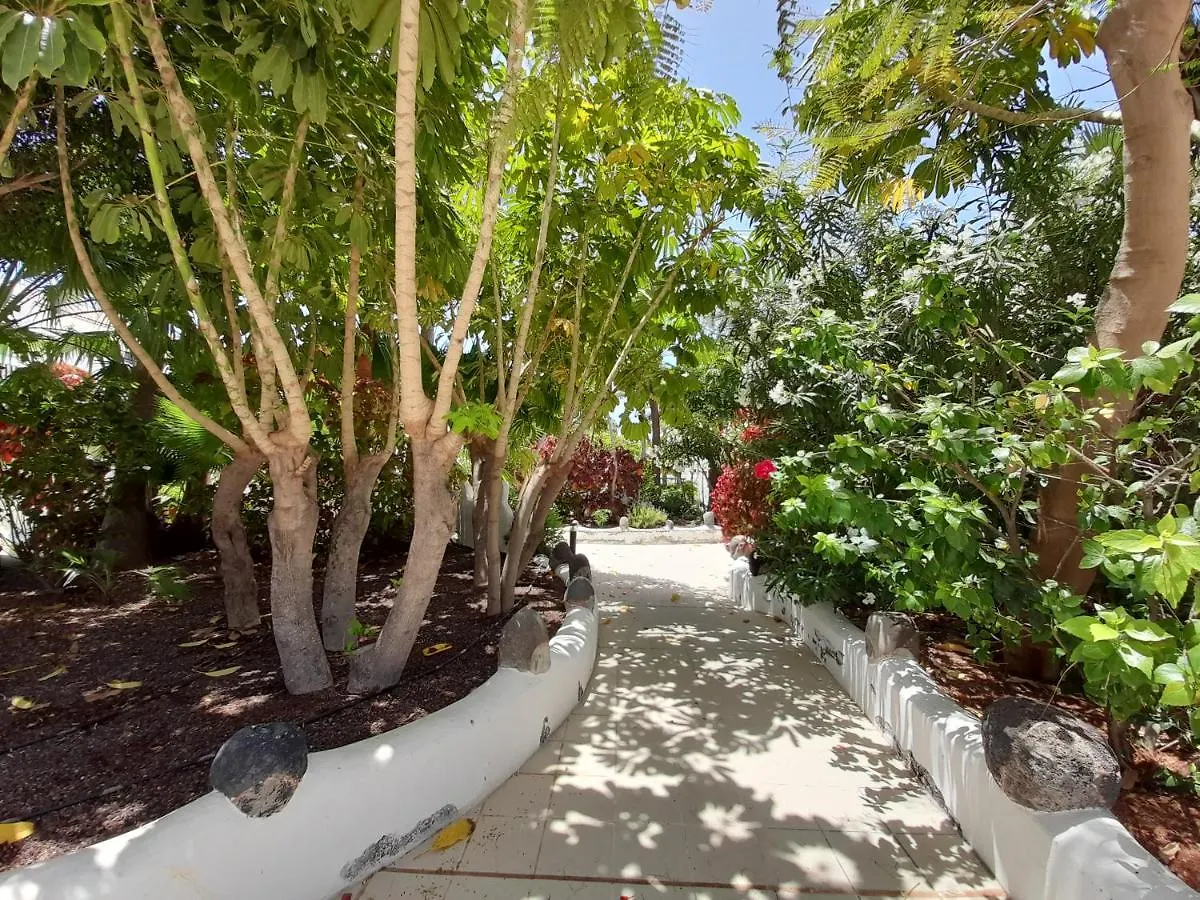 Parque Don Jose 390 Apartment Arona  Arona (Tenerife)