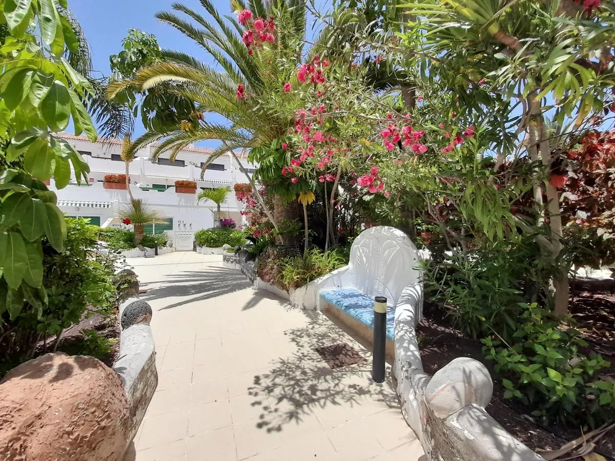 Parque Don Jose 390 Apartment Arona  Arona (Tenerife)